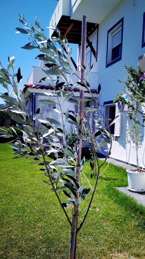Zephyros Family Apartments 1 Ormos Panagias Buitenkant foto